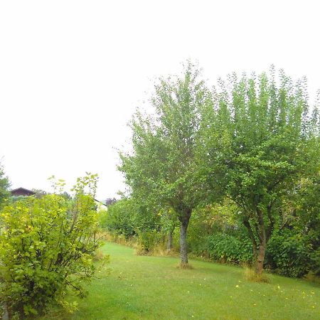 Ferienwohnung Am Mozarthuegel Warstein Kültér fotó